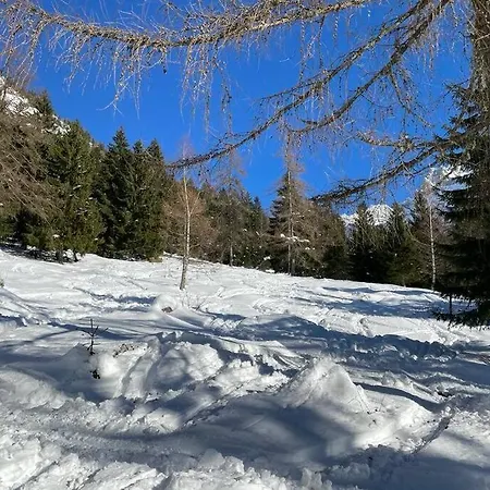 Stern Cabin 公寓 Zirovnica