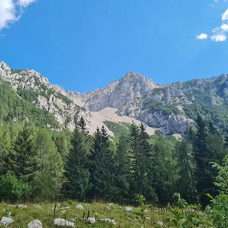 Stern Cabin * Zirovnica